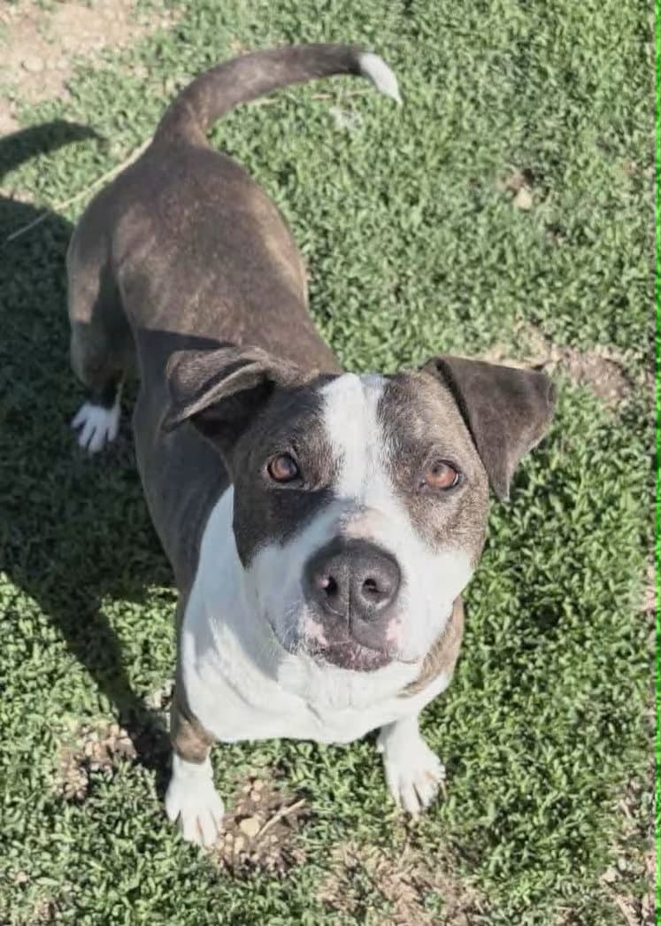 Sadie Pibble - Sponsored!