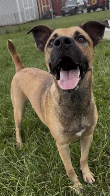 Shiloh