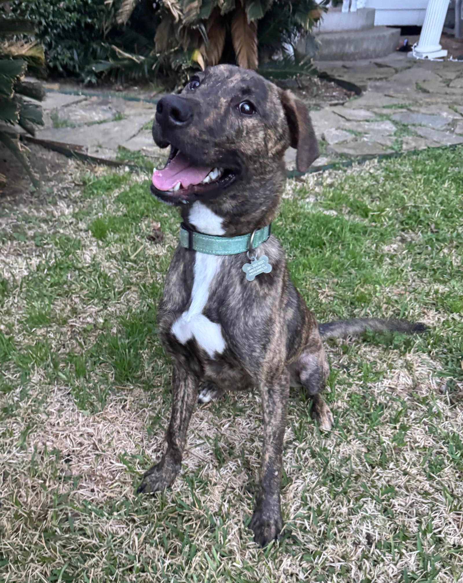 Jekyll