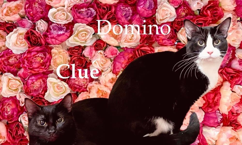 Clue
