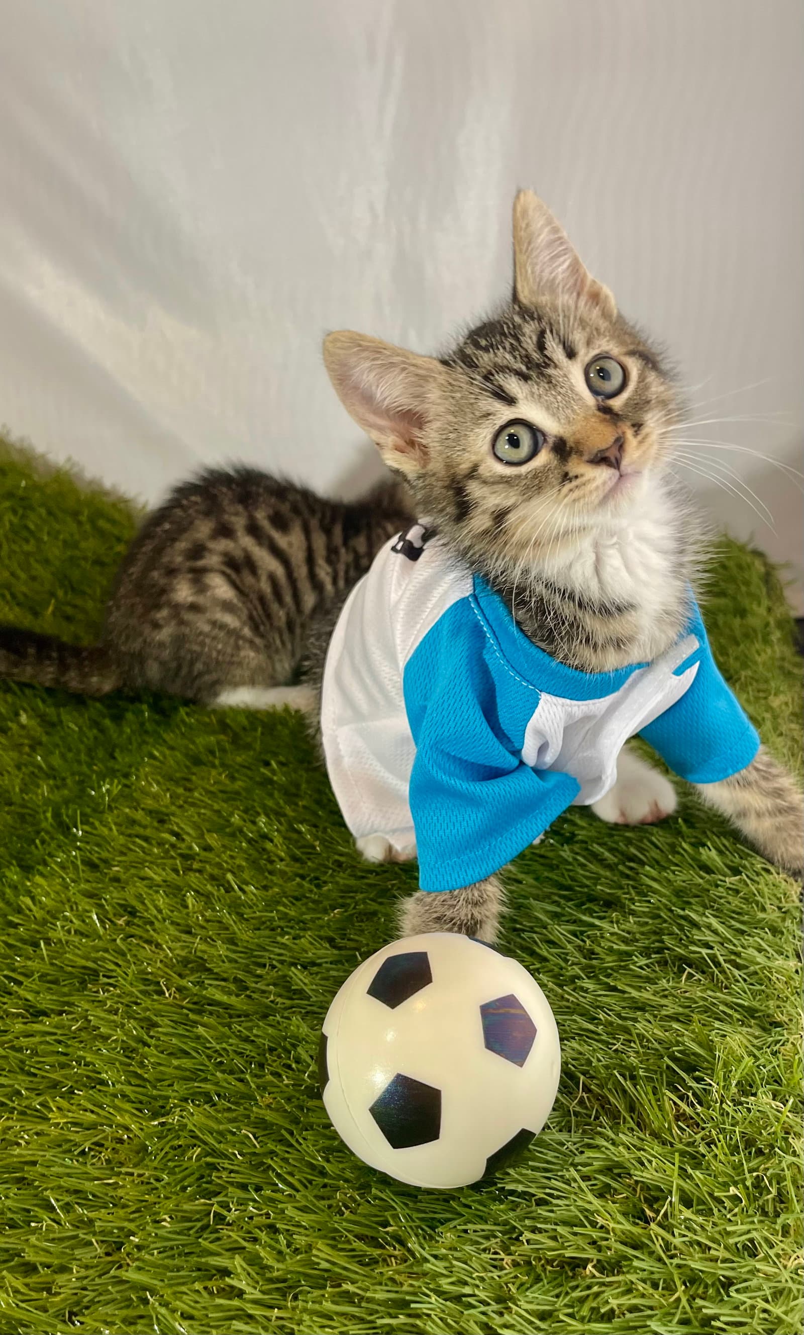 Striker