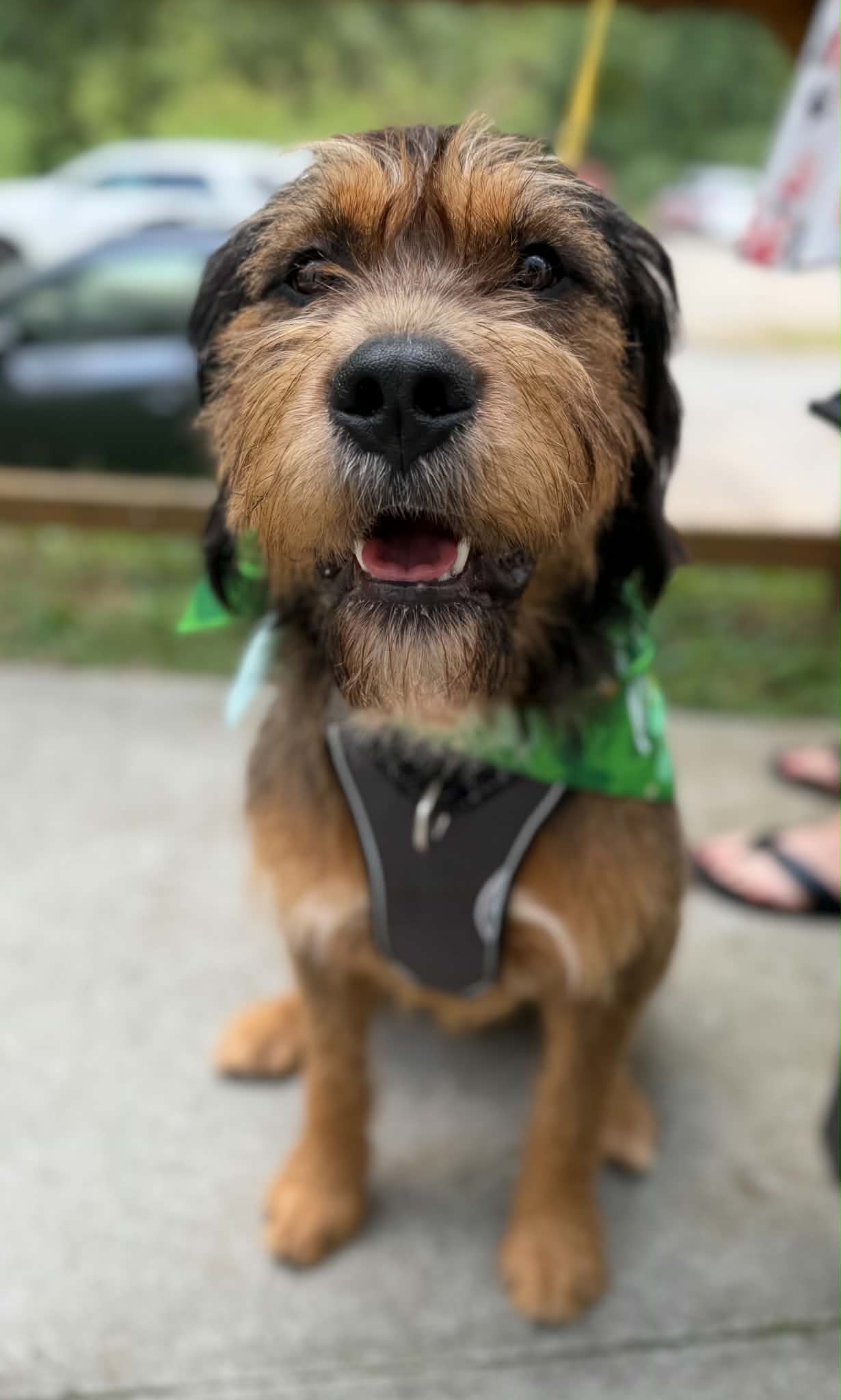 Walter