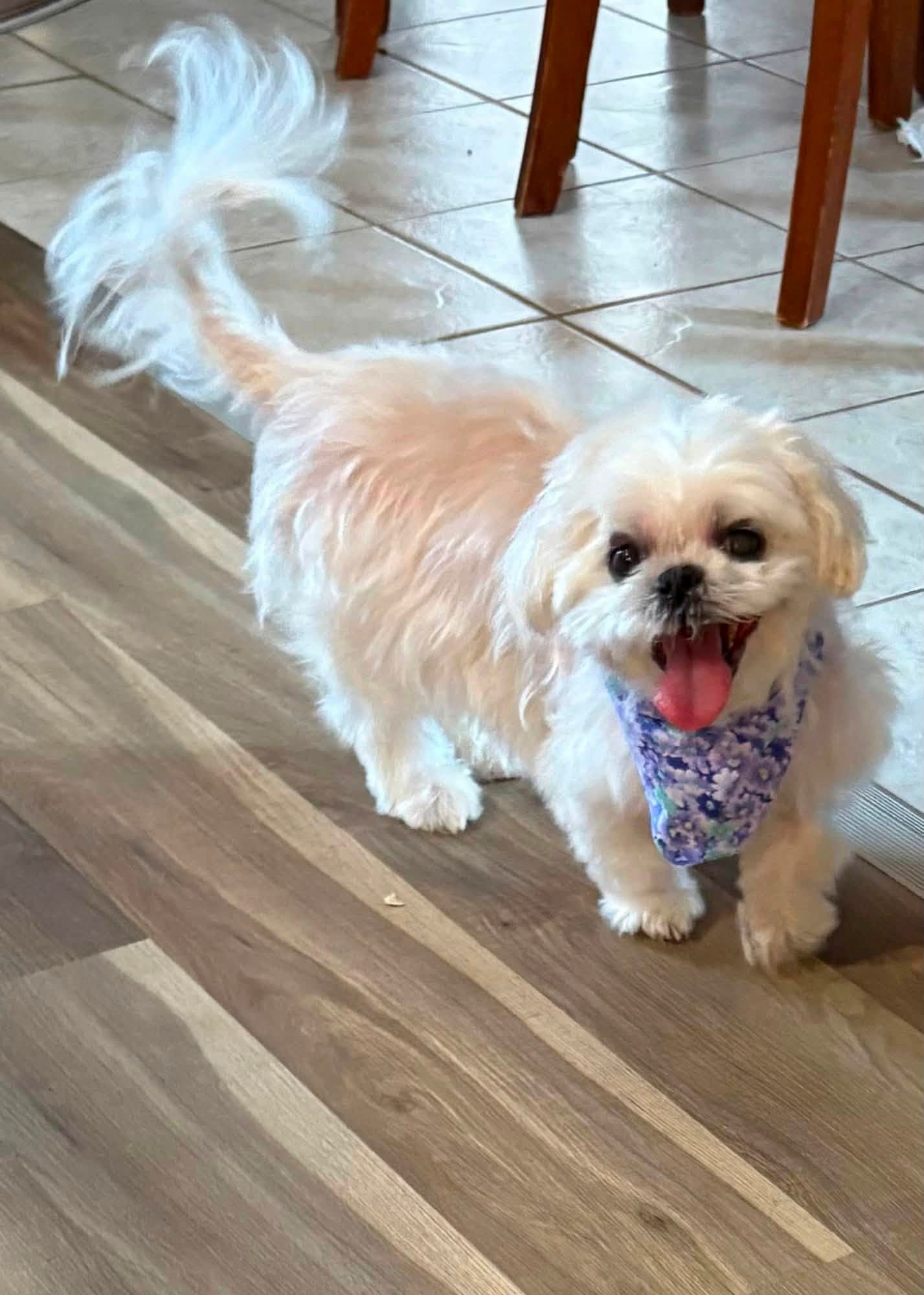 Maggie
