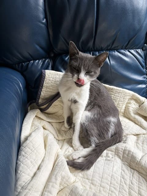 Mia