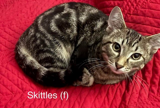 Skittles