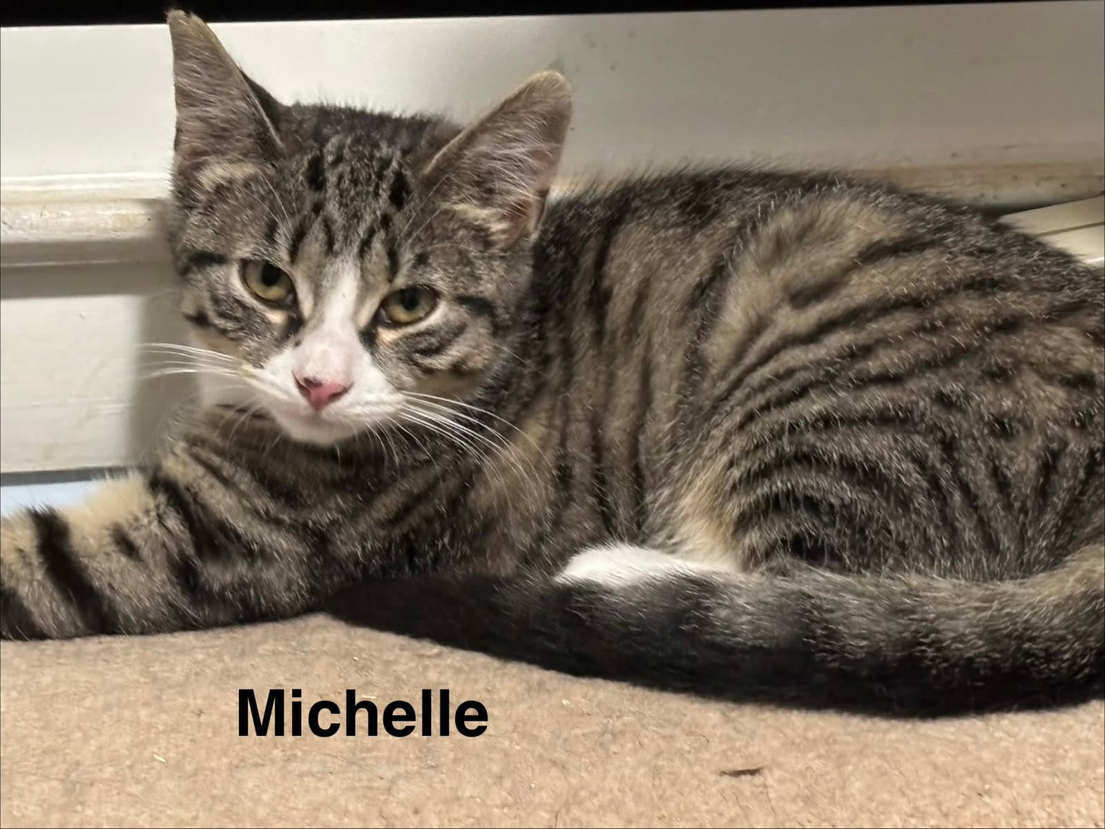 Michelle