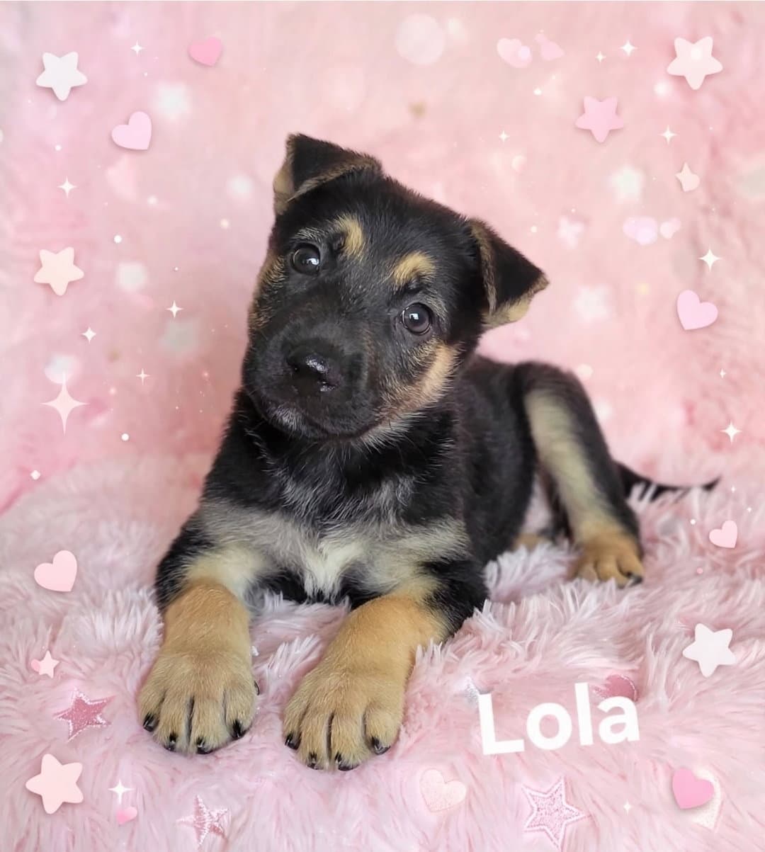 Lola