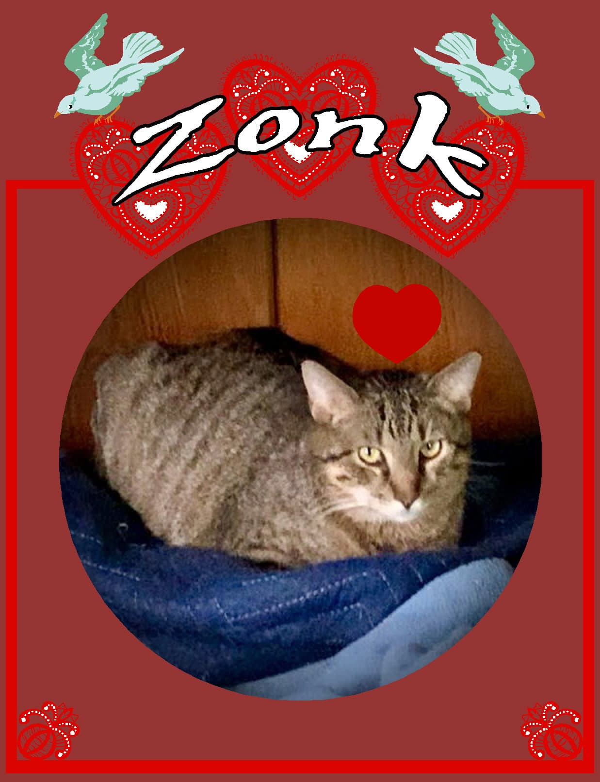 Zonk (Tan & Black Tabby)