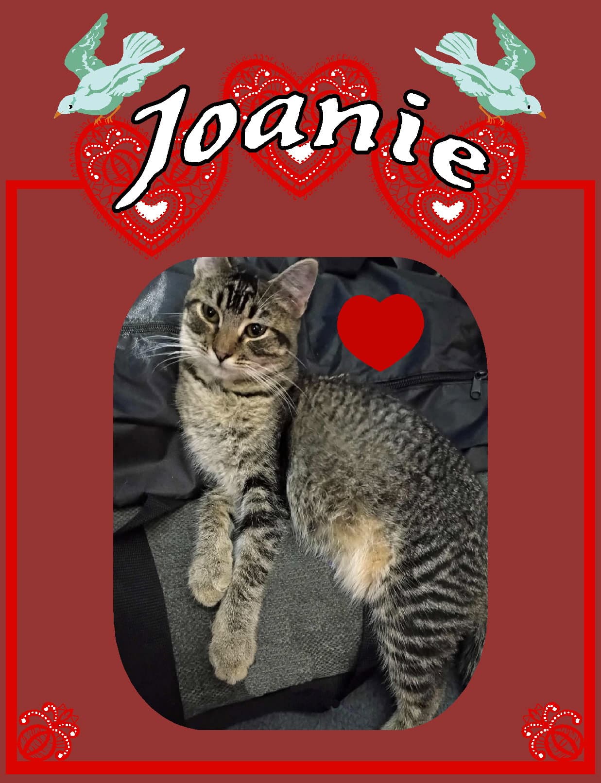 Joanie