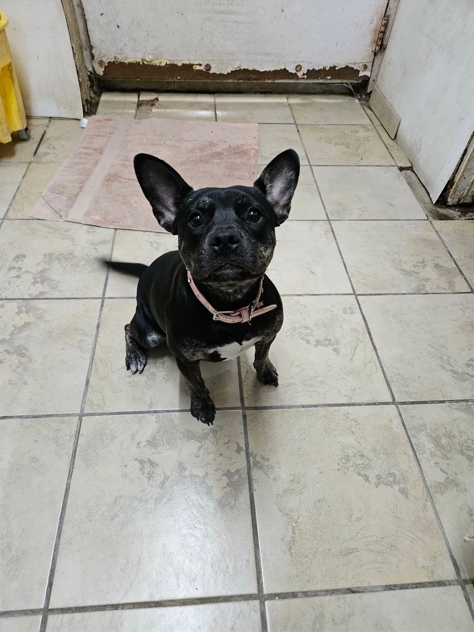 Maggie