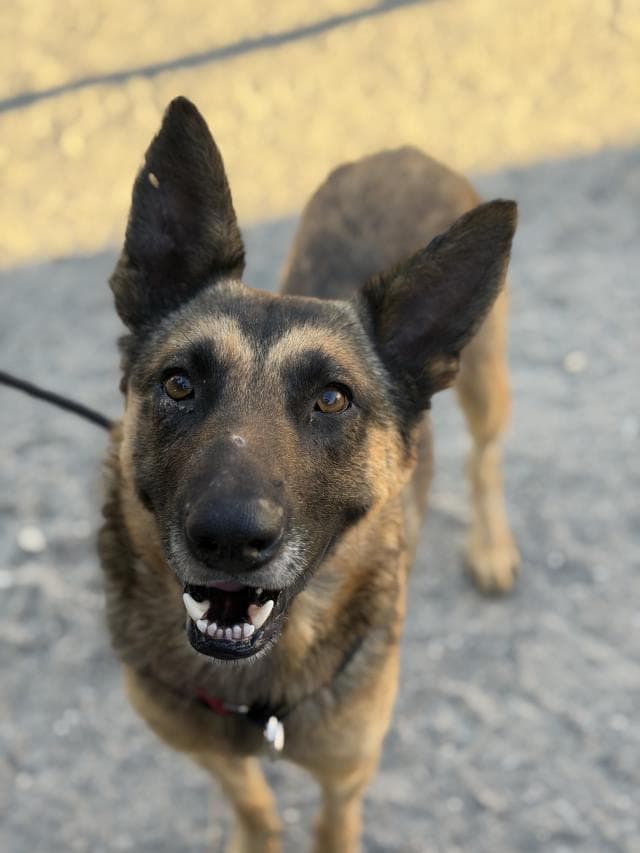 OSO