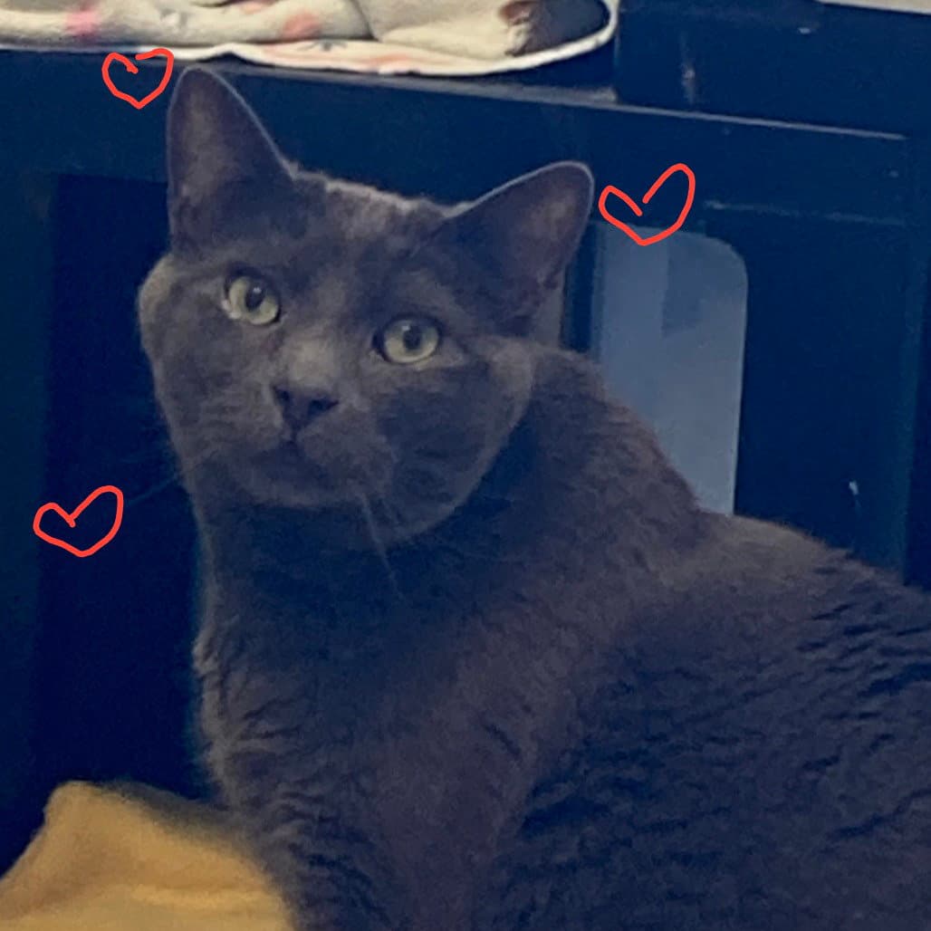 Max