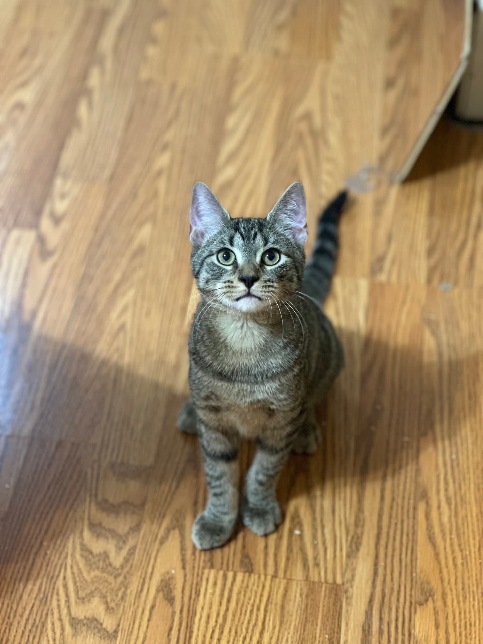 Ernie