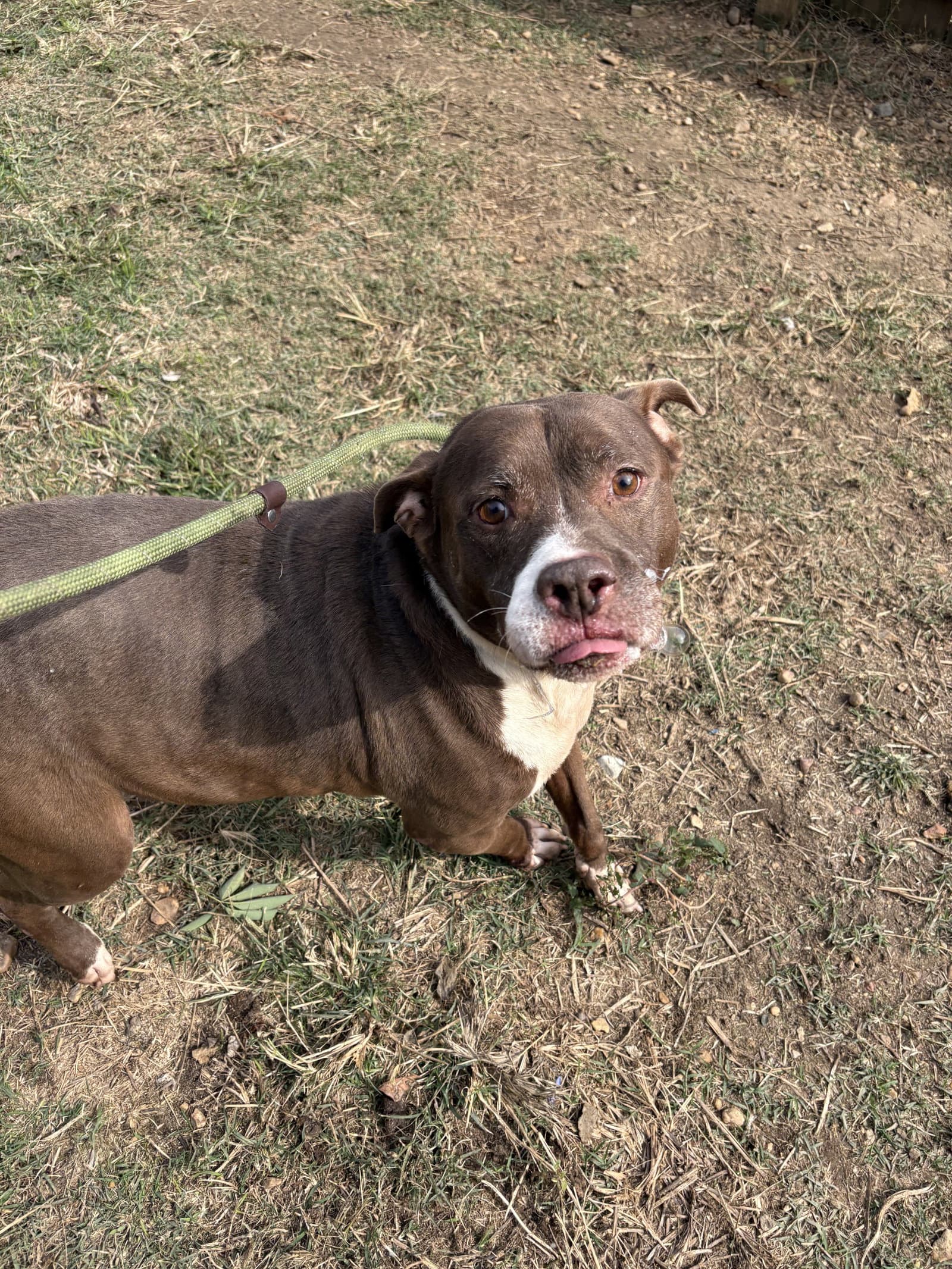 Butkus