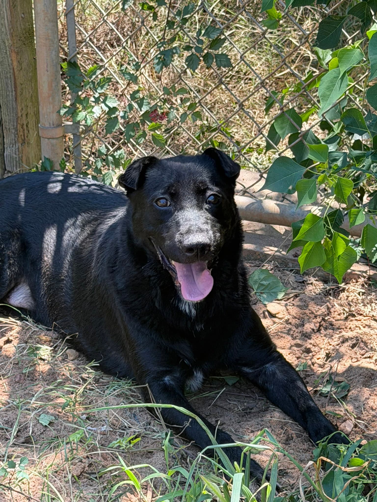 Barkley