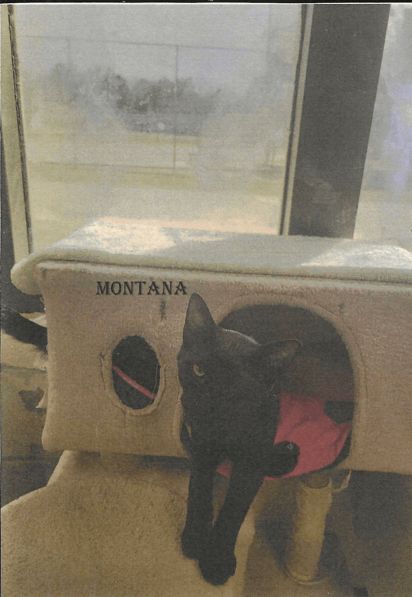 Montana