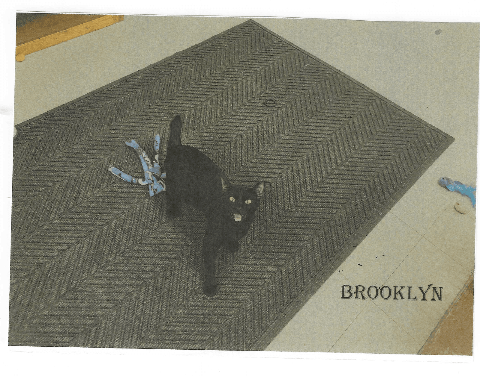 Brooklyn