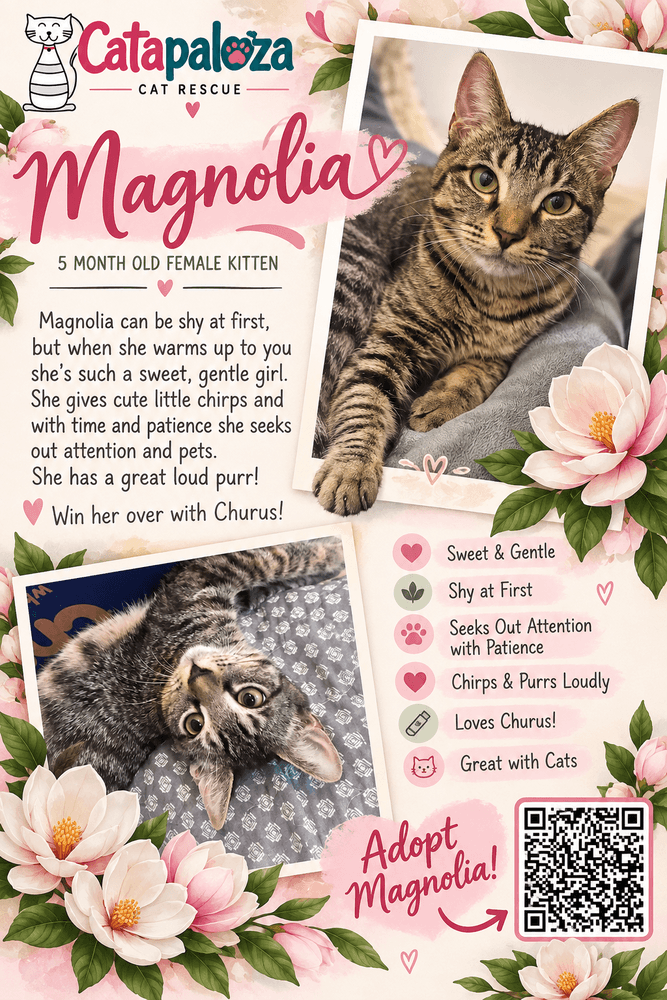 Magnolia