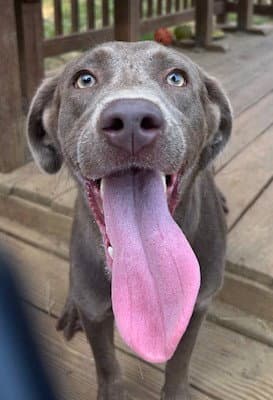 260967 Molly