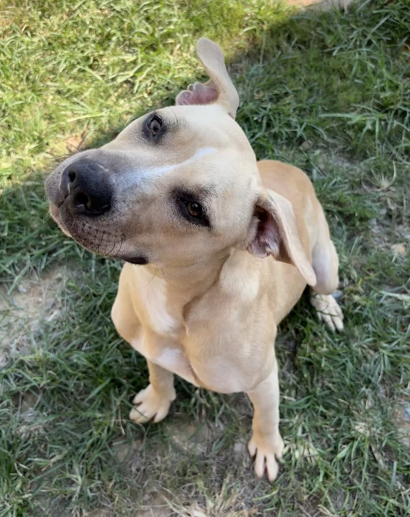 261429  Phoebe