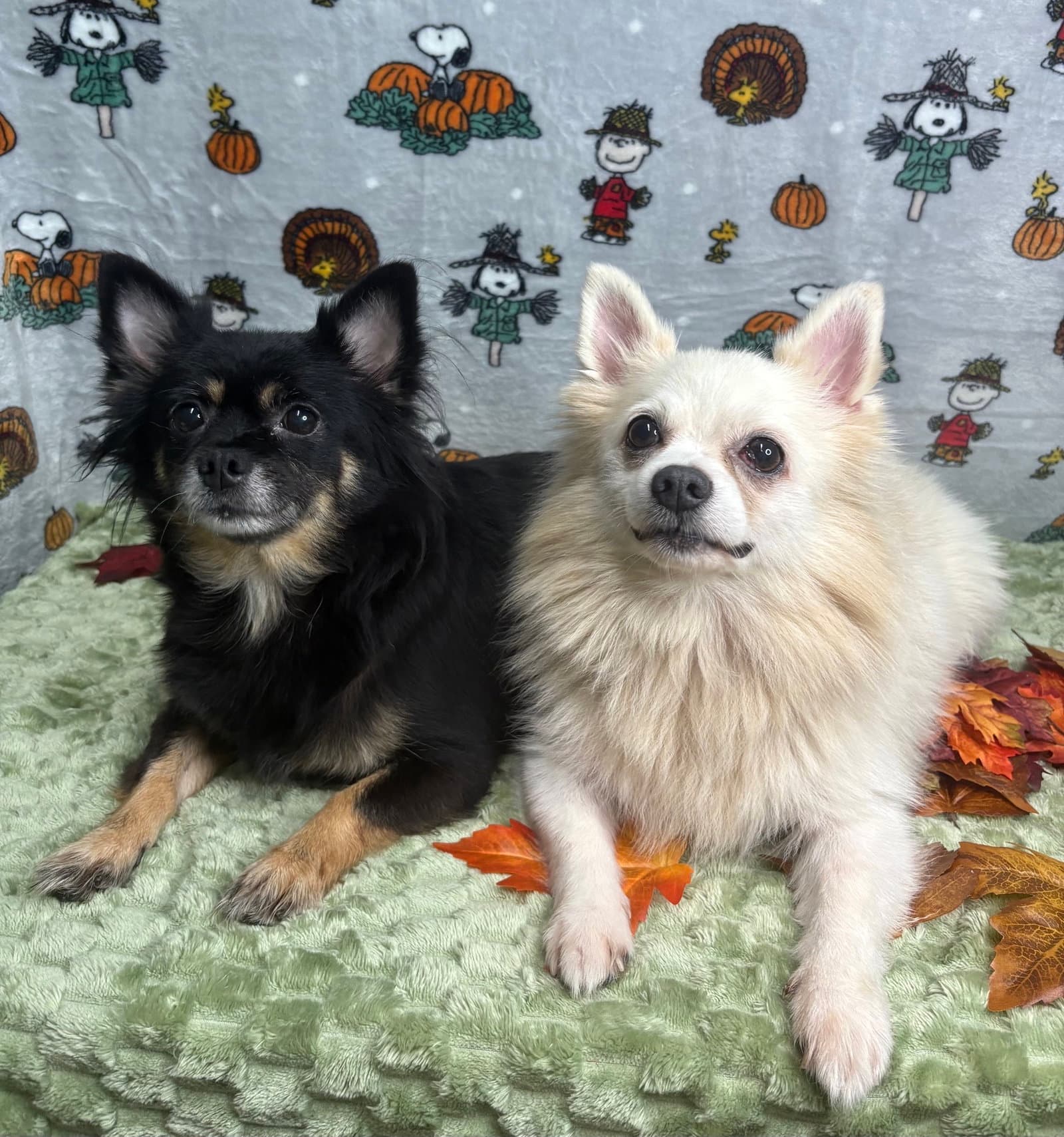 261465  Yoshi & Princess Peach