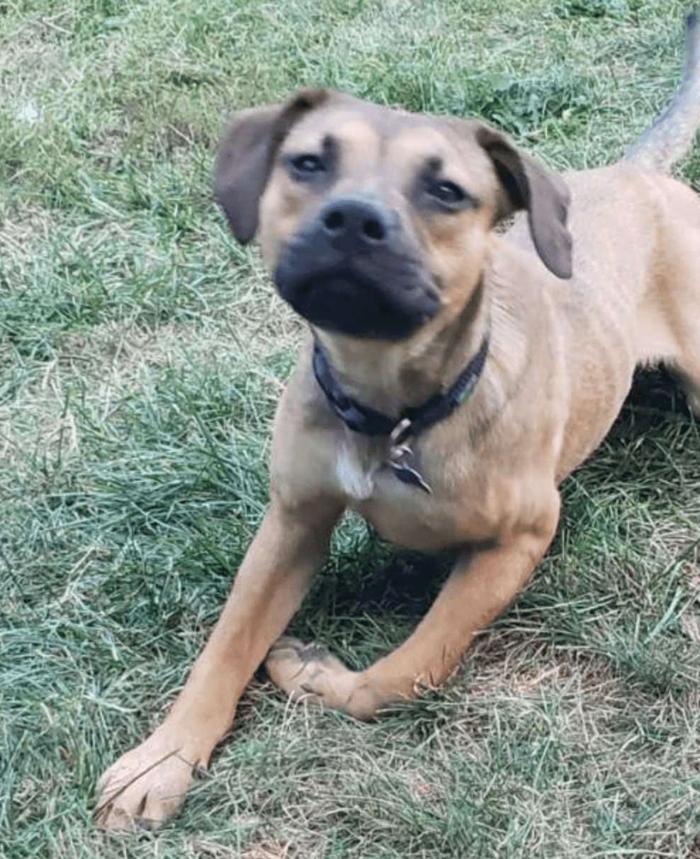 Carmelo