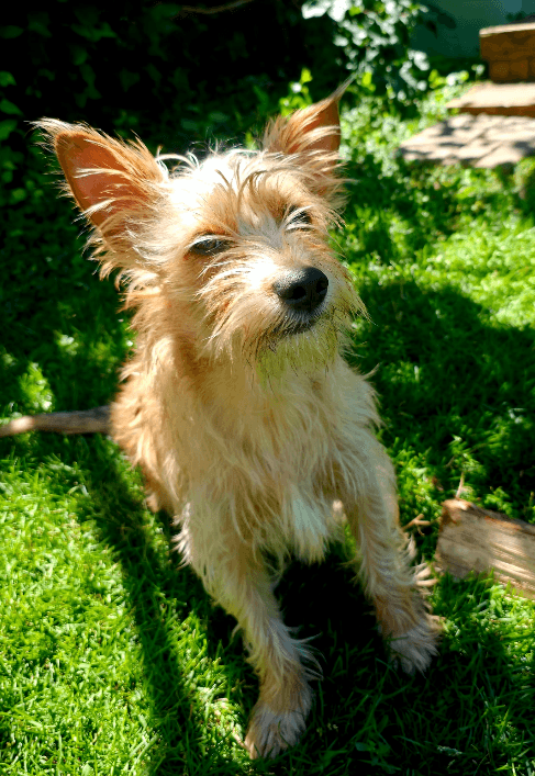 Max