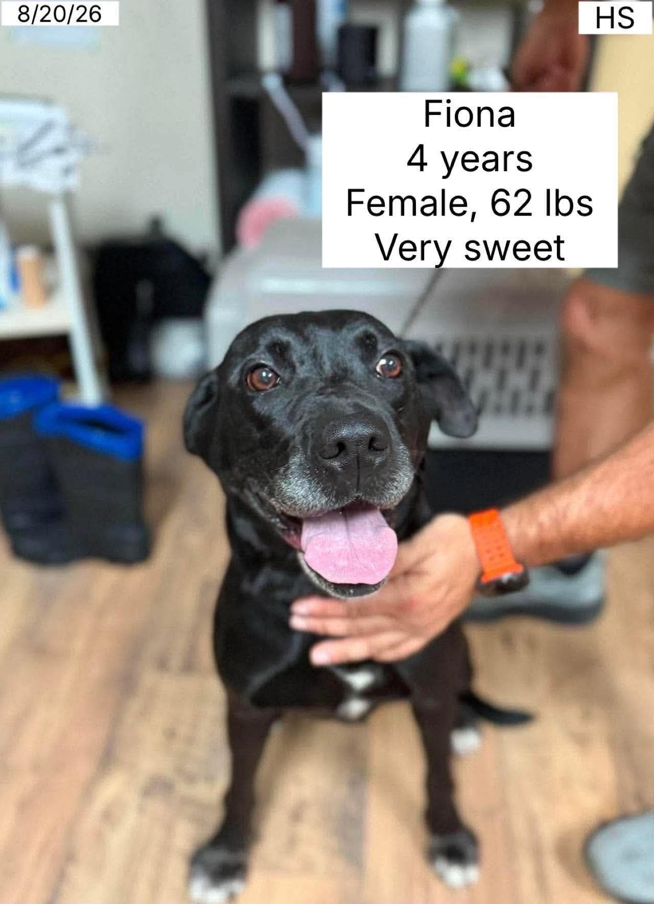Fiona