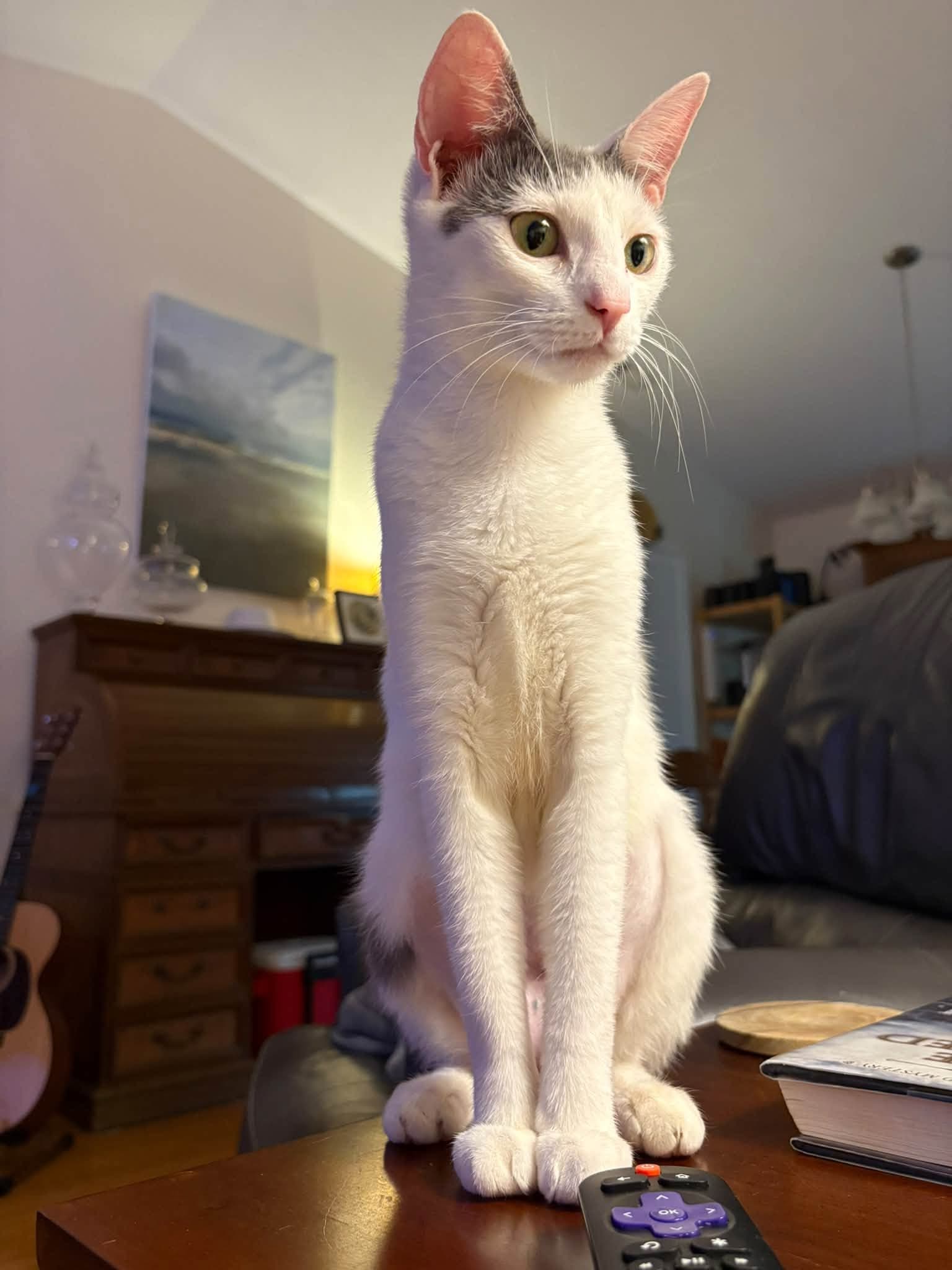 KeeKee