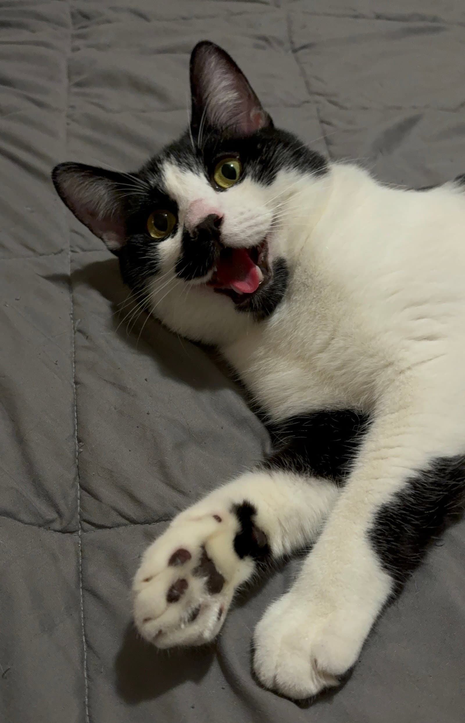 Pepper