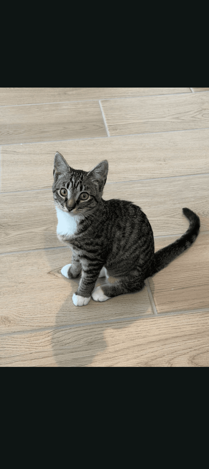 Mimi