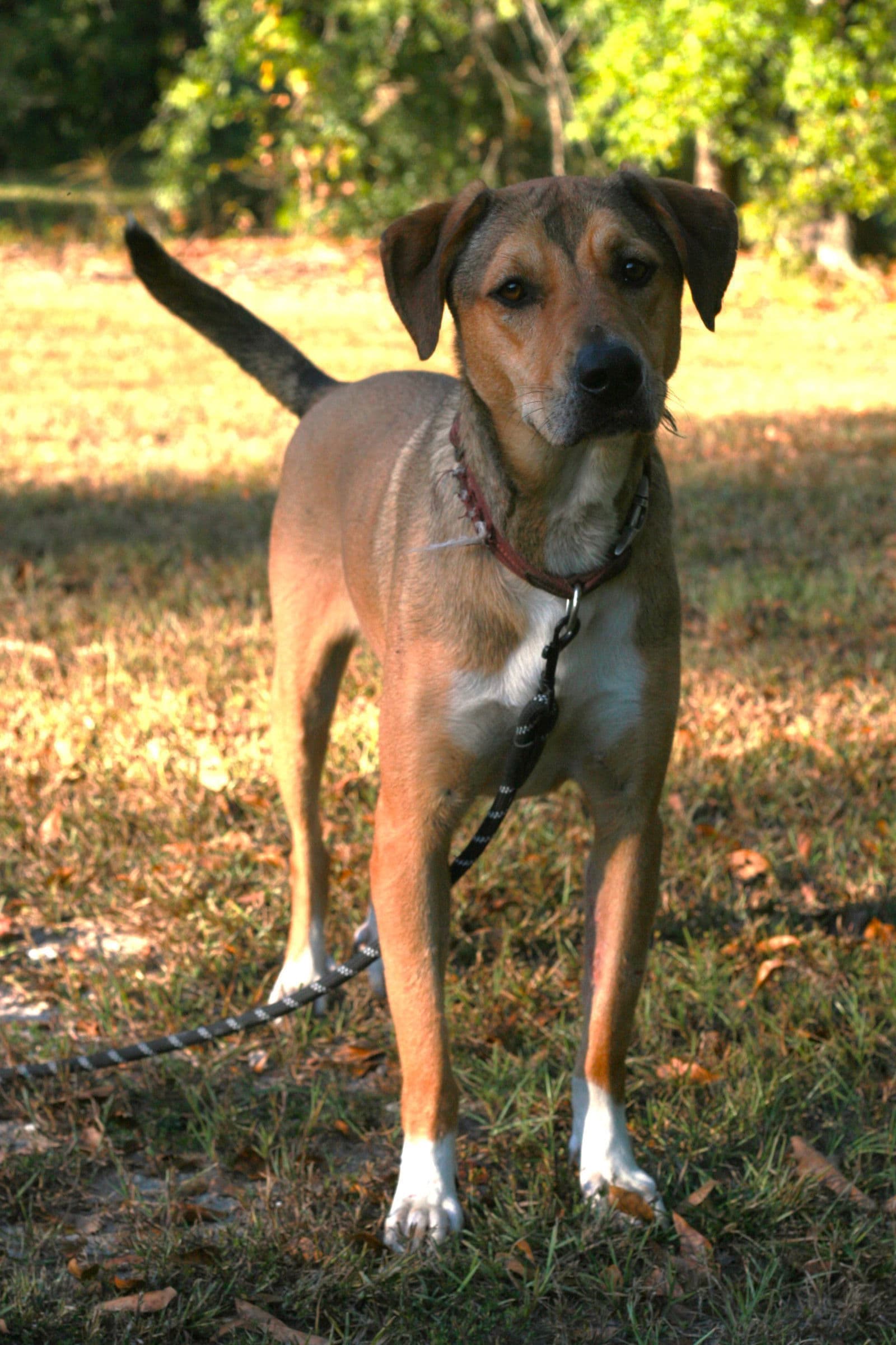 Nora