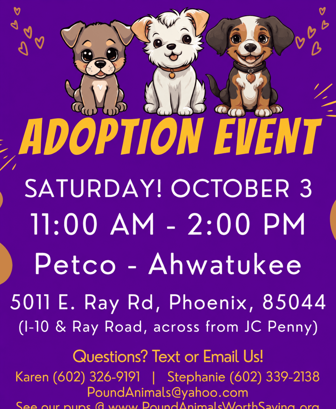 Petco - Ahwatukee Dog Adoption Event