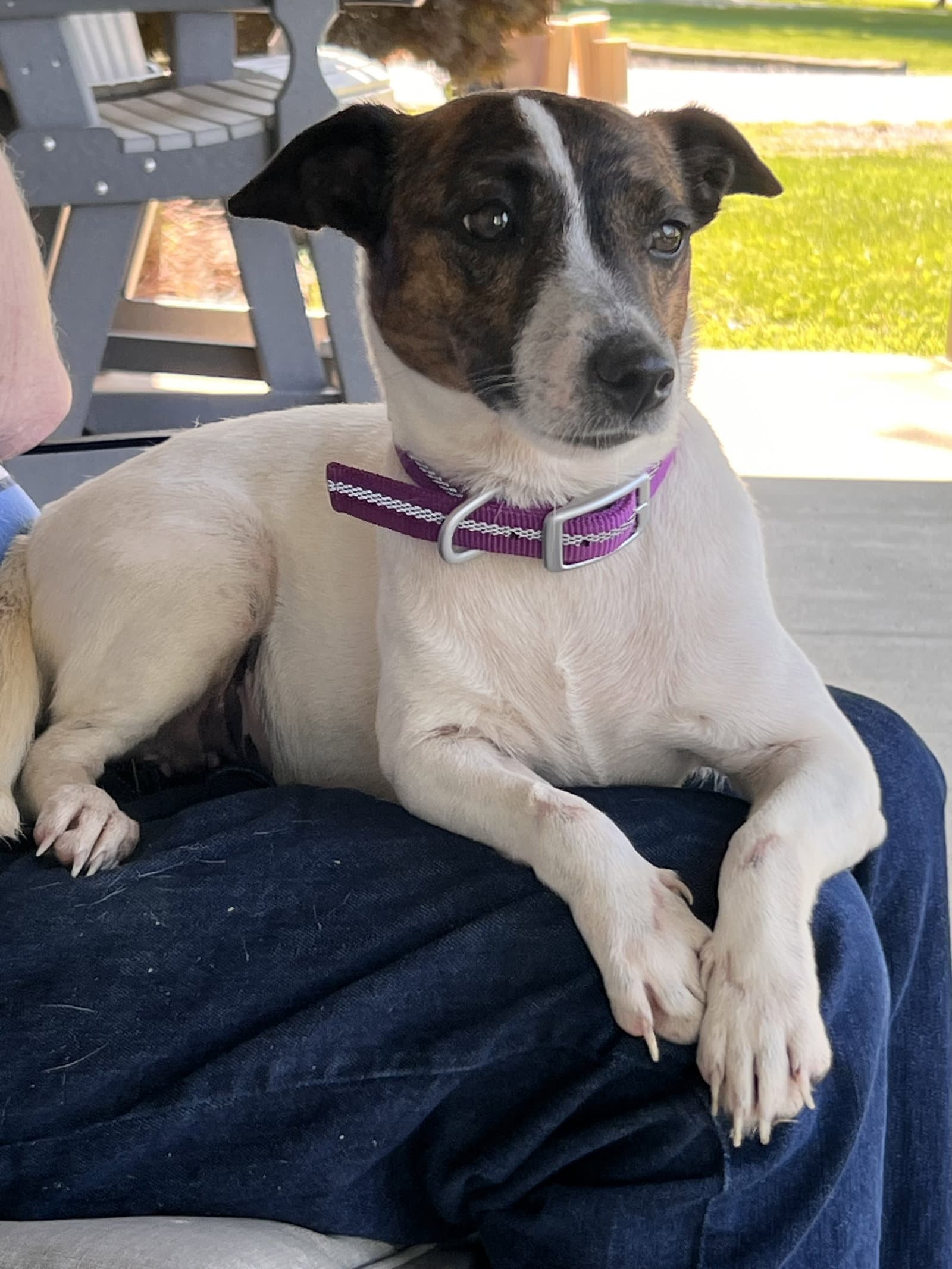 Sadie Mae