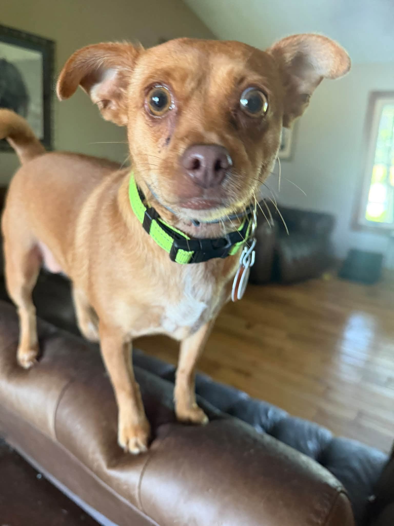 Tilly