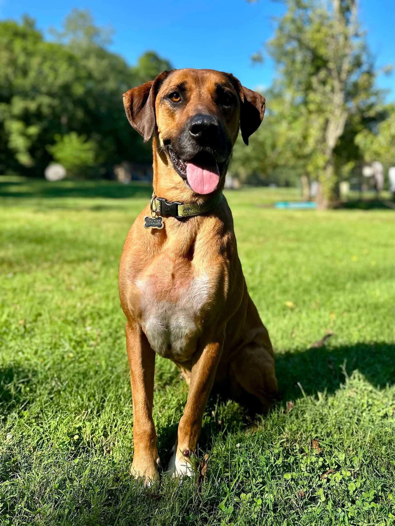 Duke