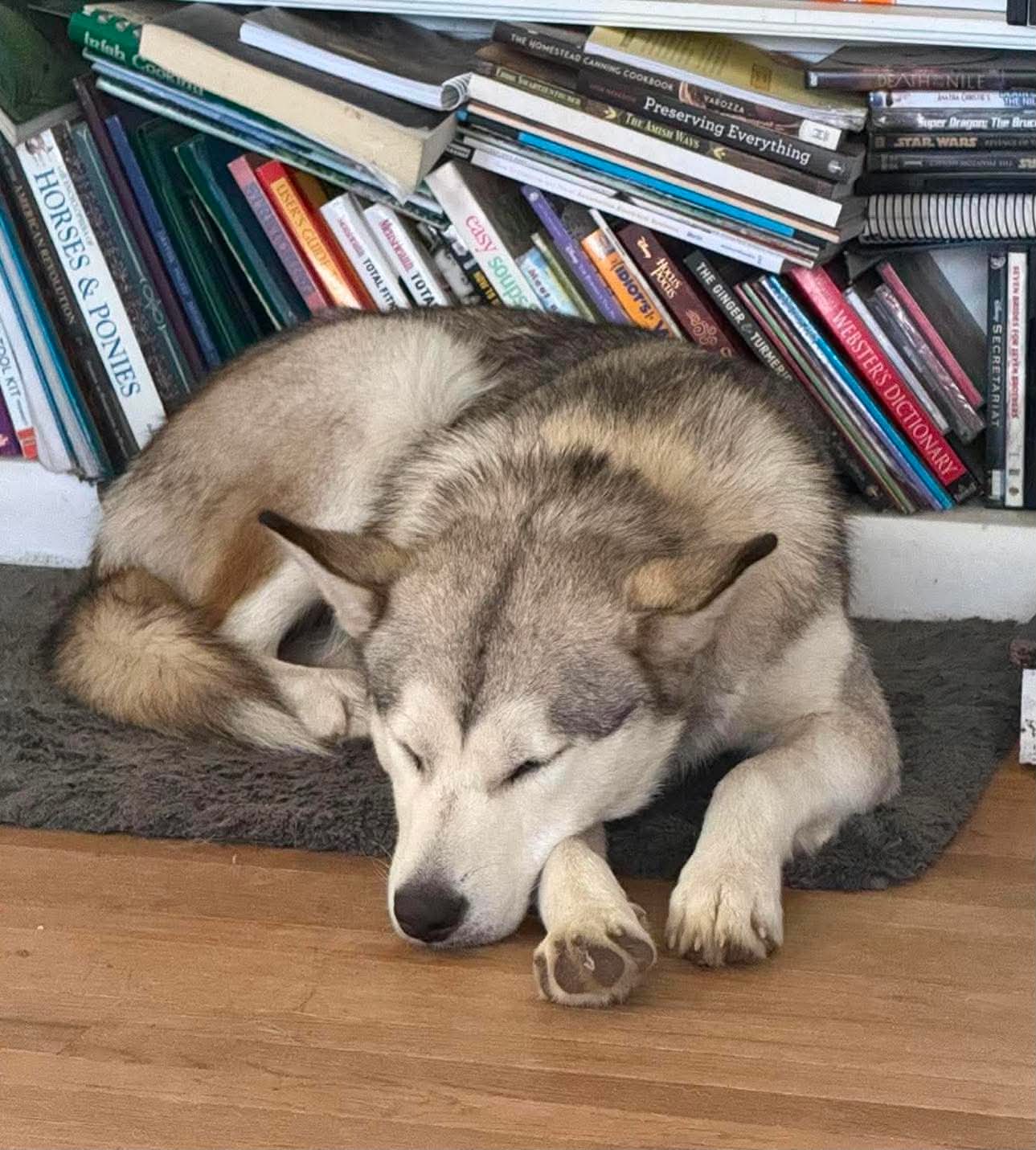 Luna at Large
