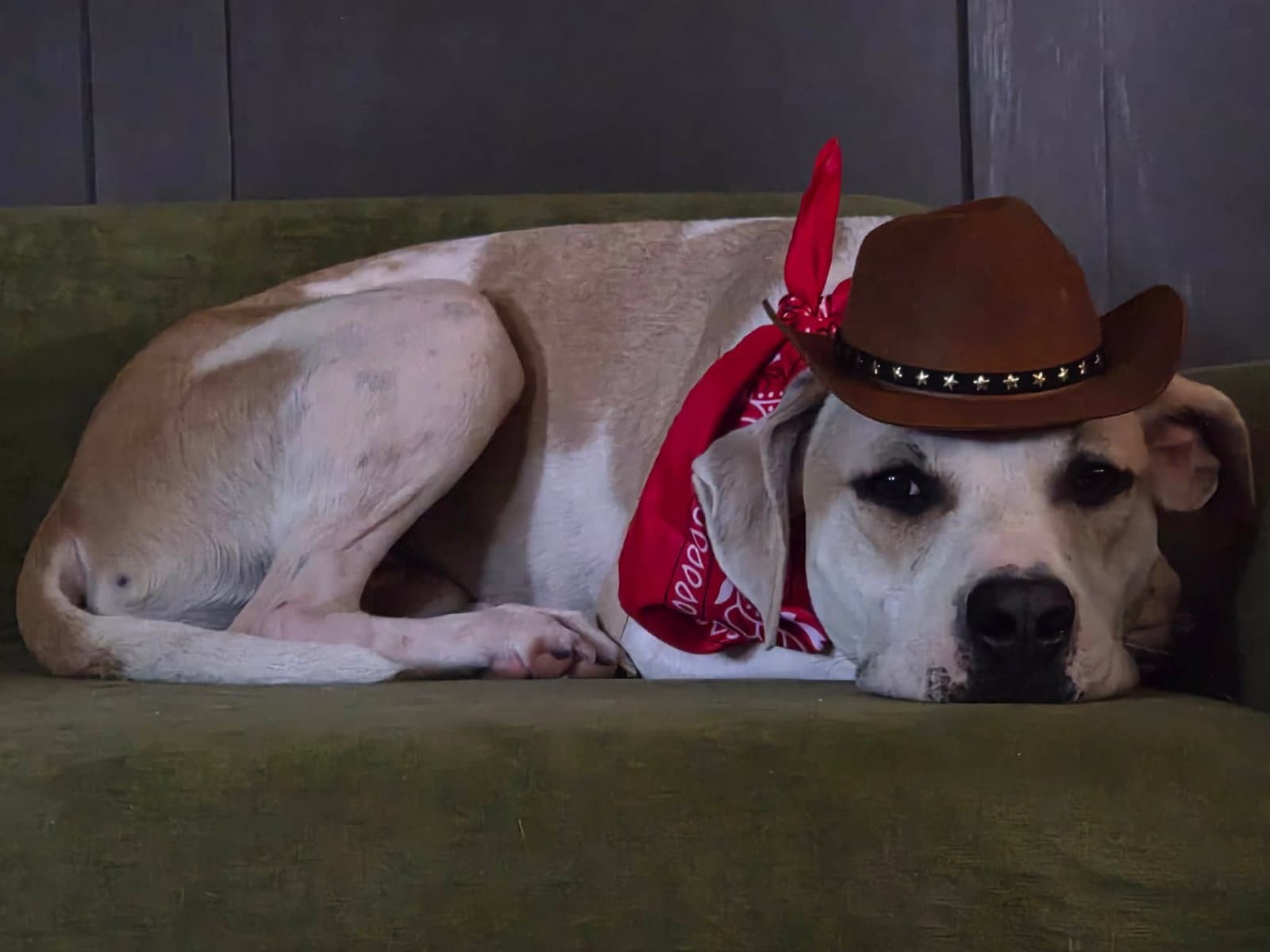 Sheriff Woody