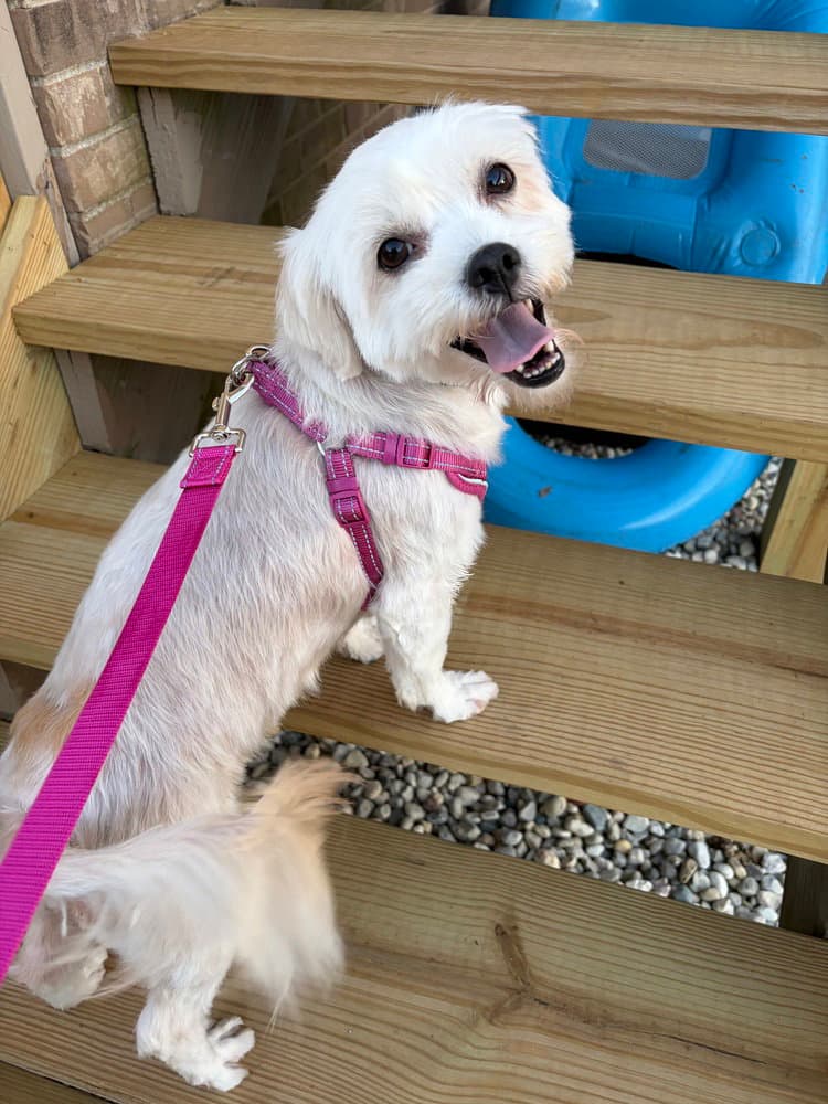 Chiquita