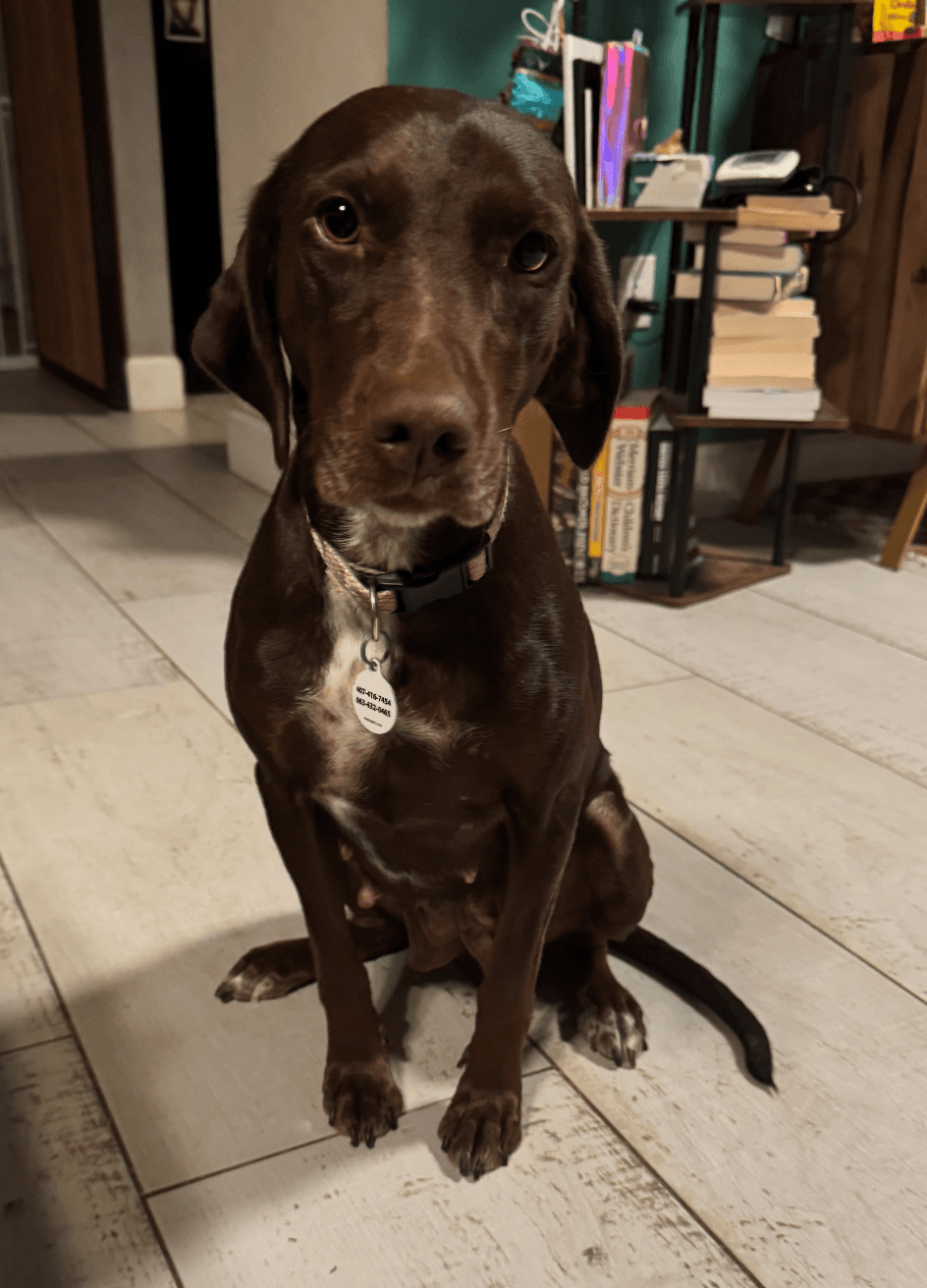 Pennie (ADOPTION PENDING)