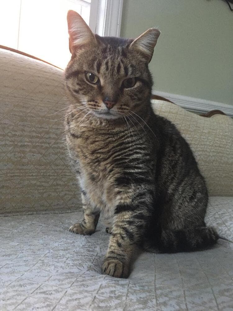 Charlie