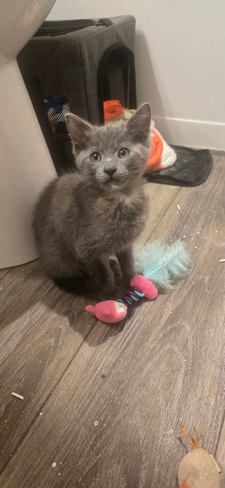 ZoÃ«