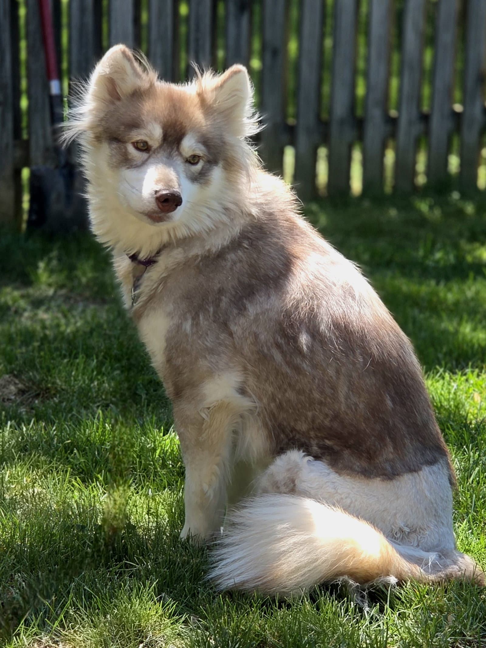 Heidi - ON HOLD - NO MORE APPLICATIONS