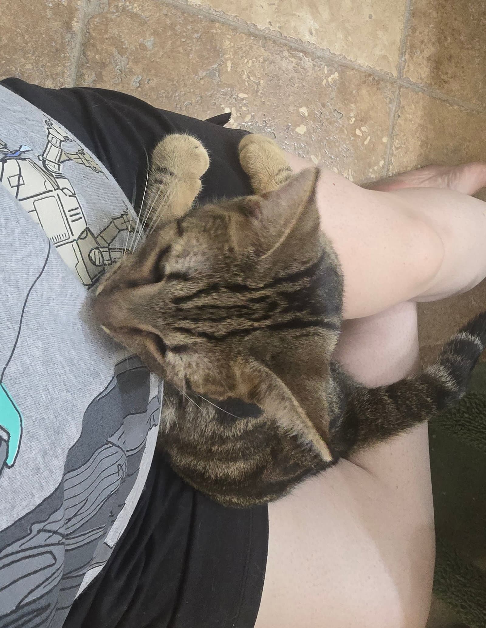Chico