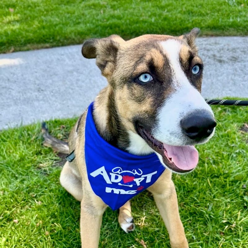 Milo