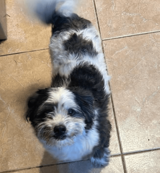 Theo in TX