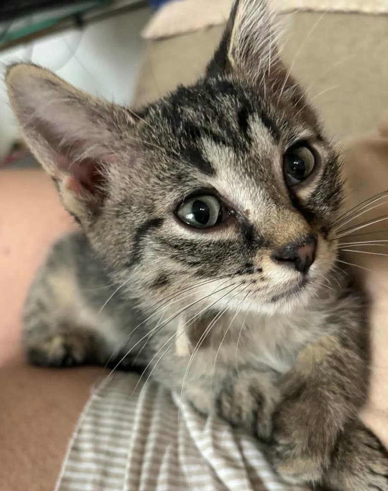 Eugene