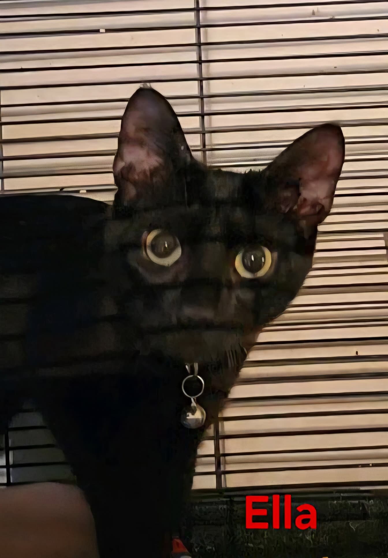 Ella