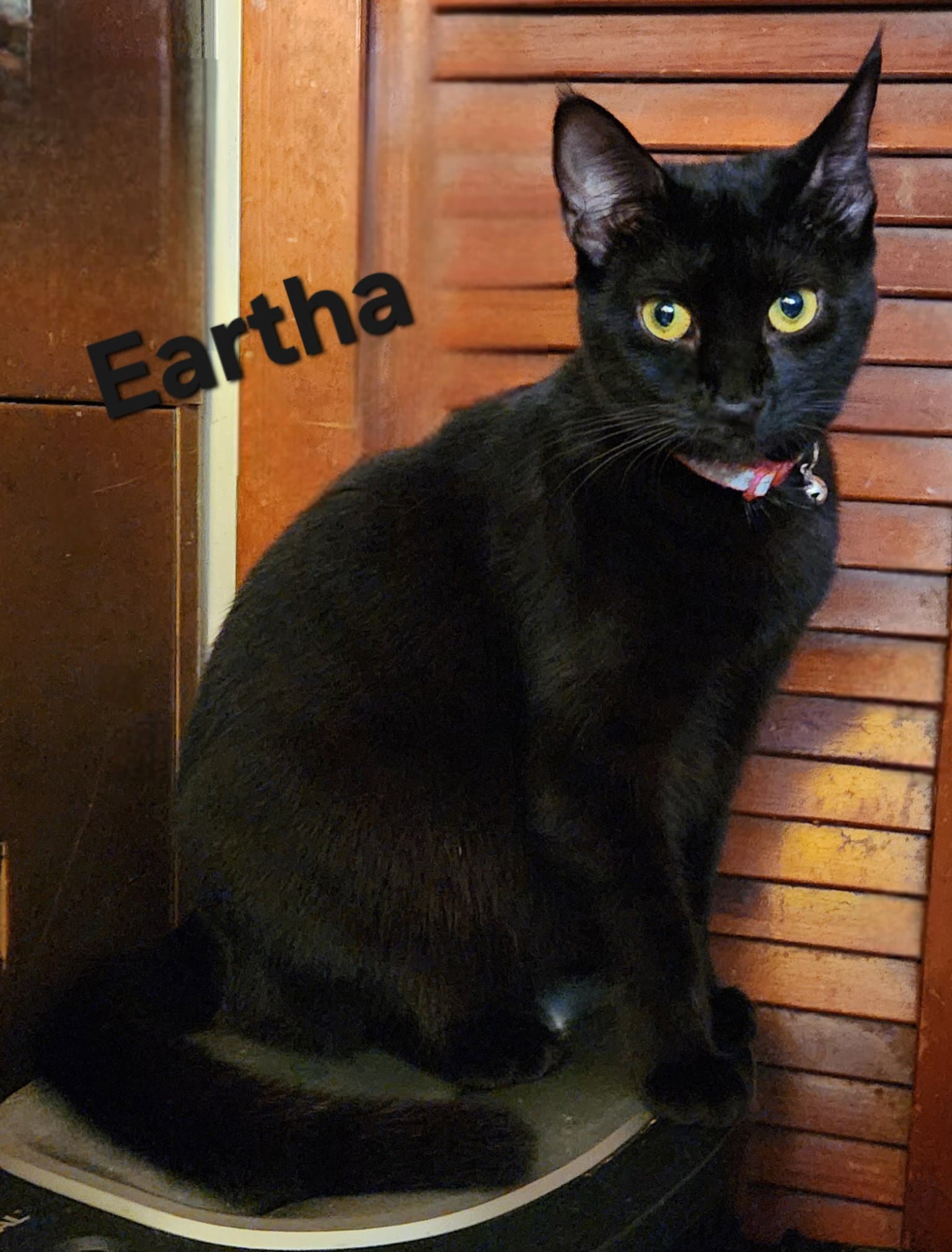 Eartha