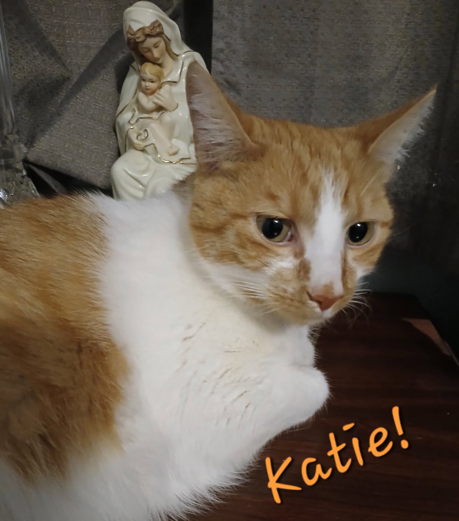 Katie